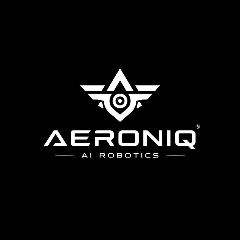 Create one original black-and-white brand logo prese...